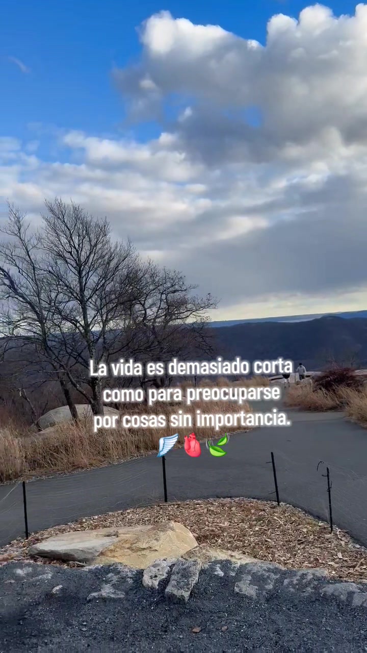 @J Dylan 🍃