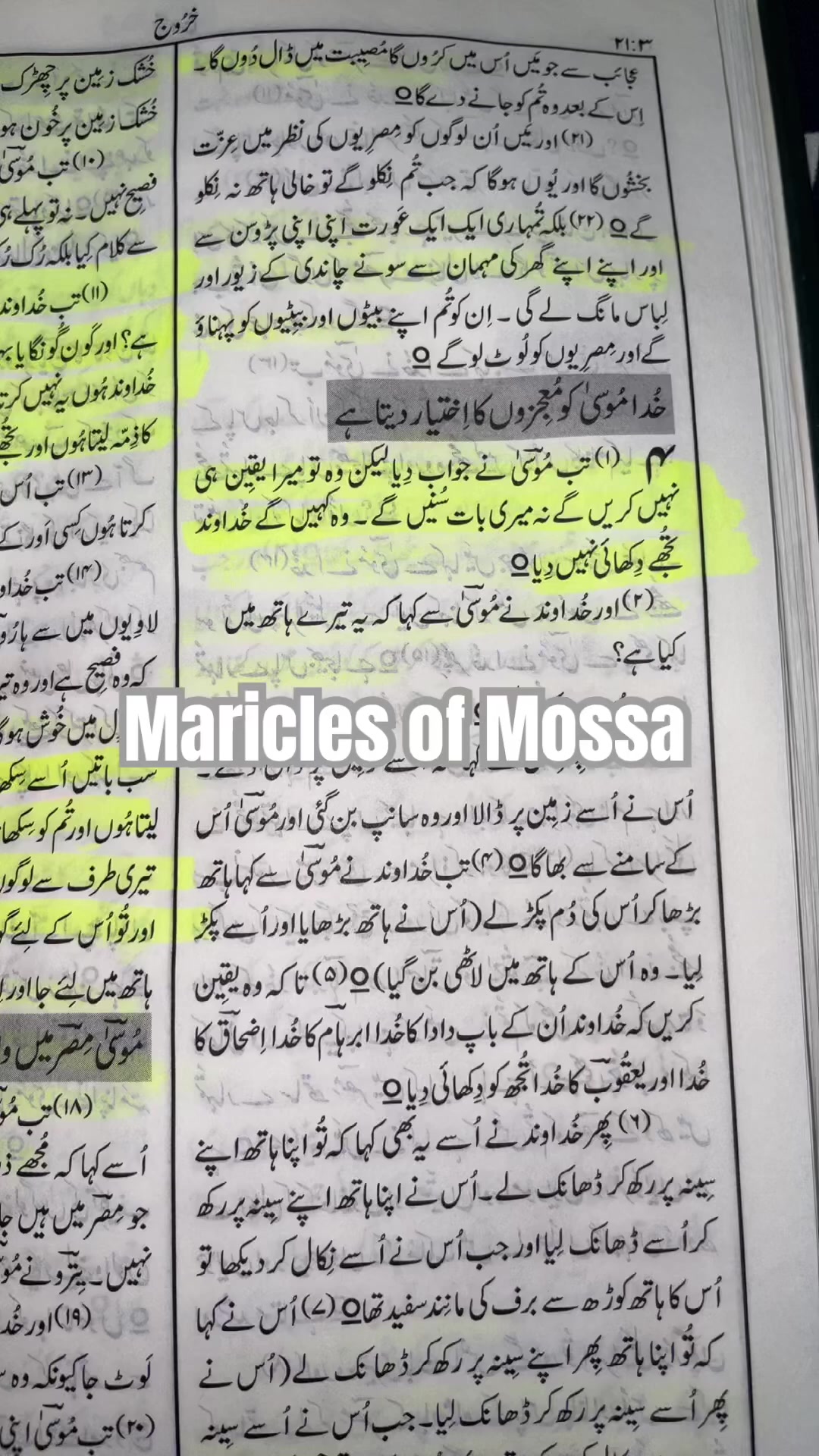 @Tehmina Sattar