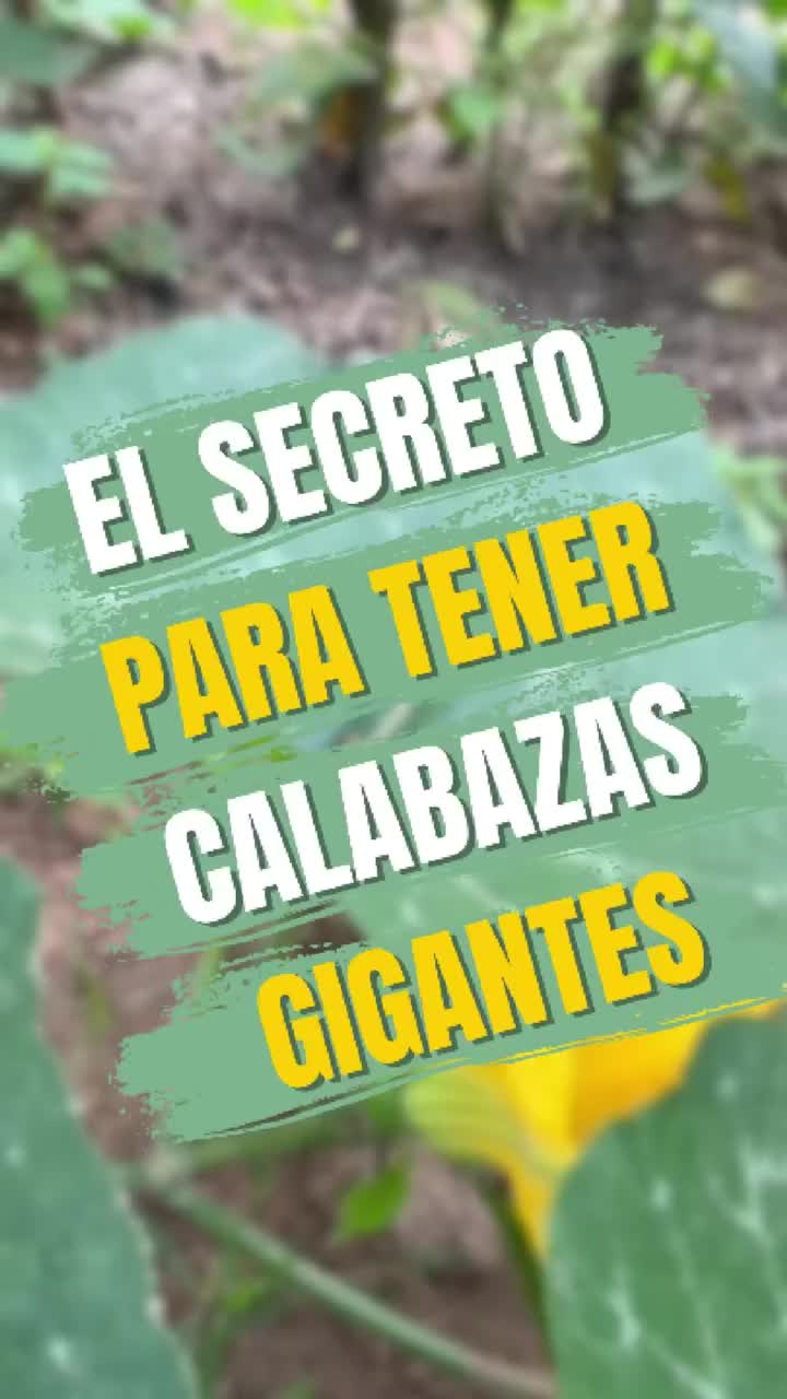 @Naturaleszademujer