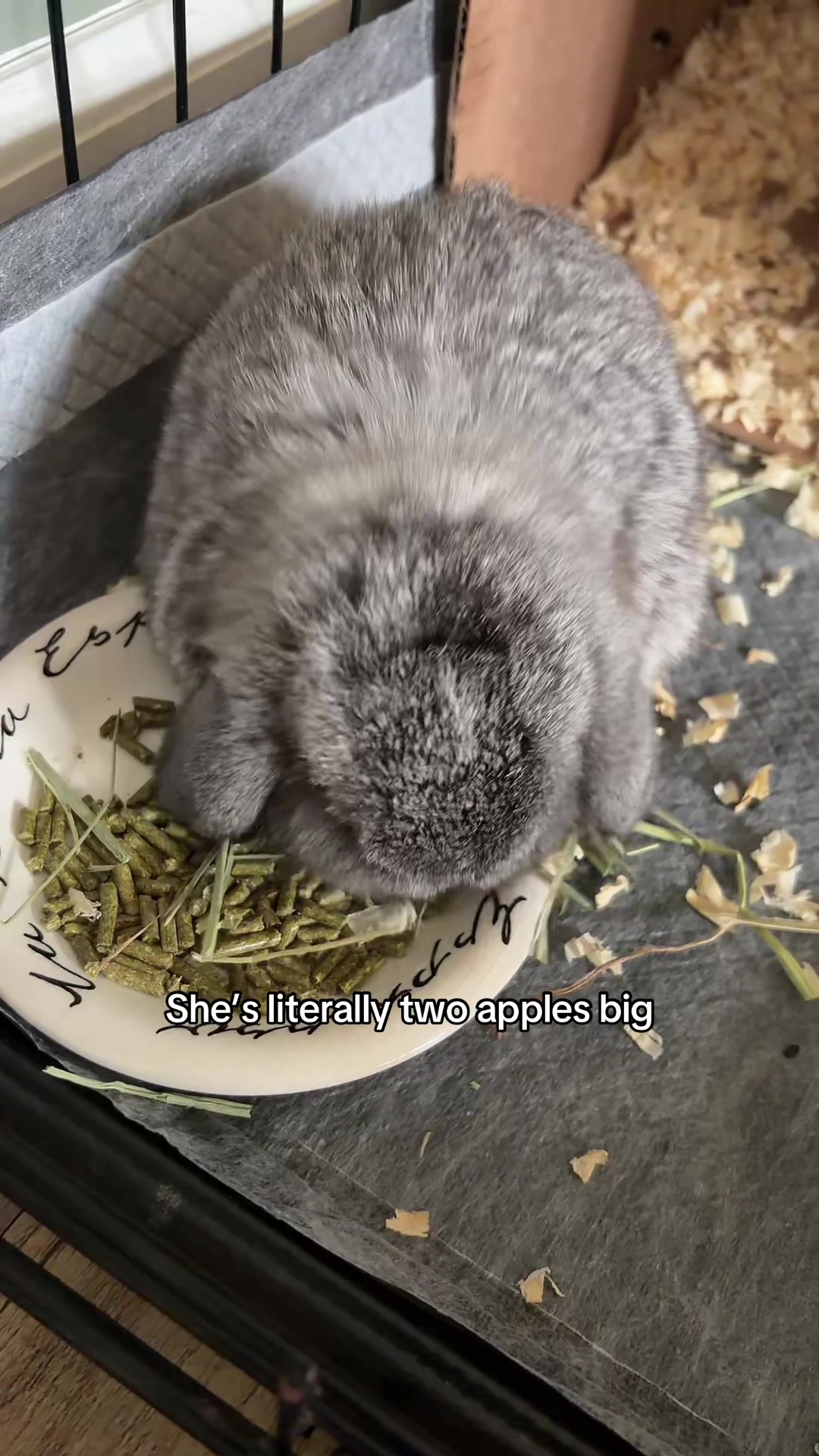 @Ellie