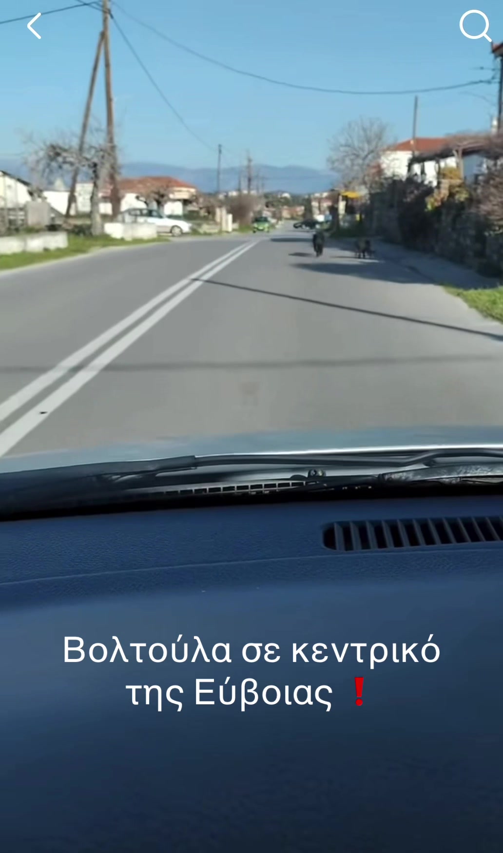 @Evima.gr