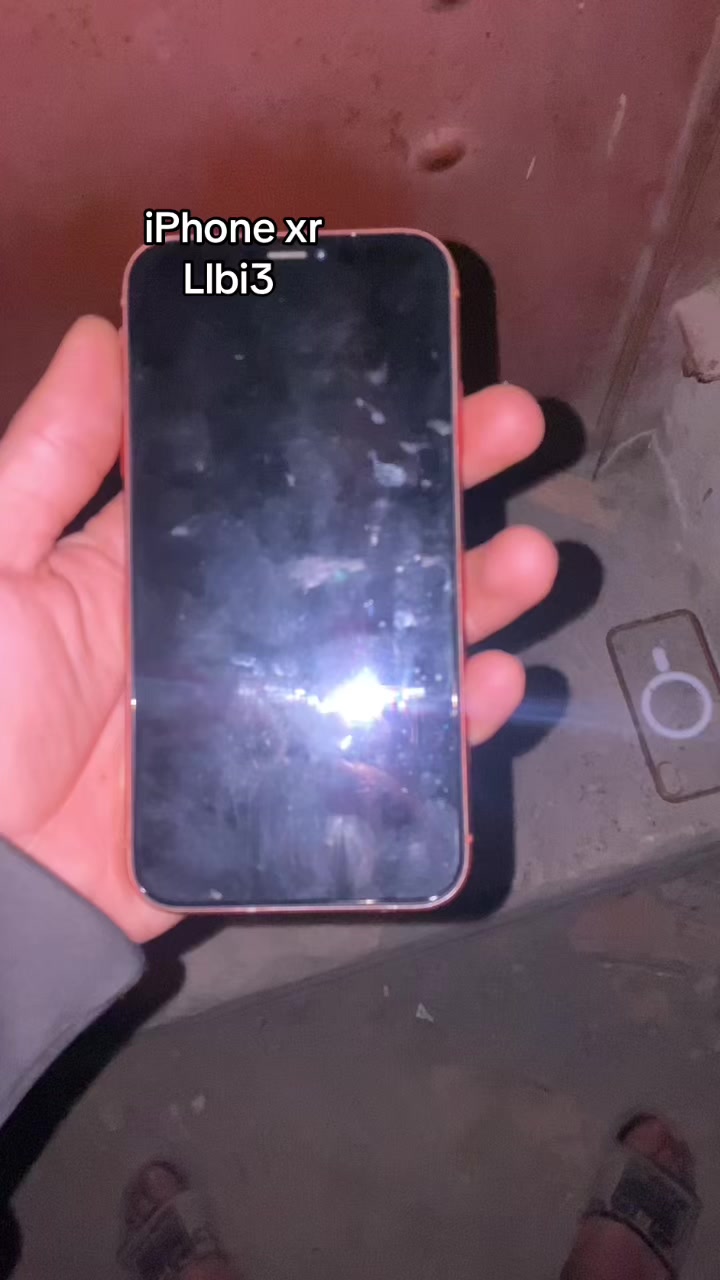 @𝐌𝐚𝐬𝐬𝐢𝐧