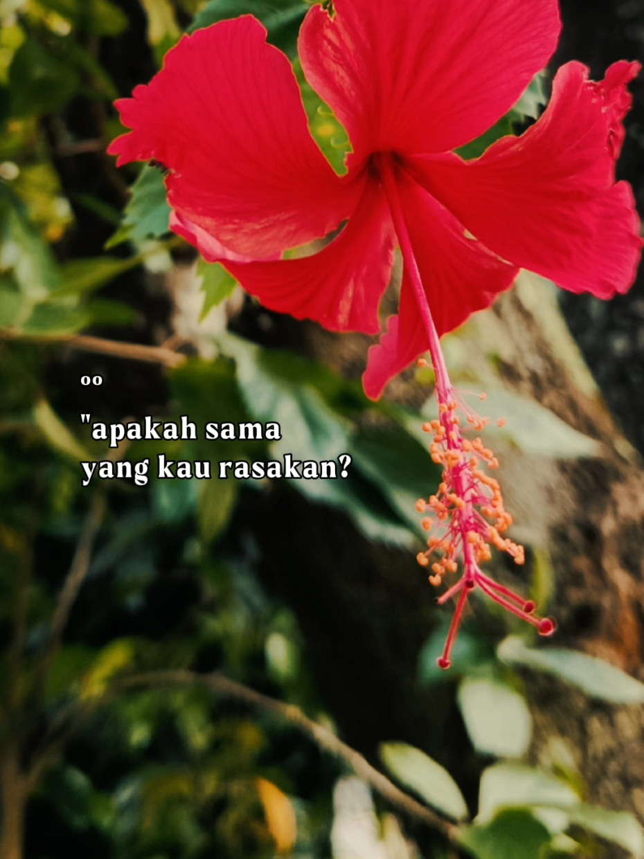 @𝙎𝙤𝙗𝙖𝙩_𝘾𝙊𝘿