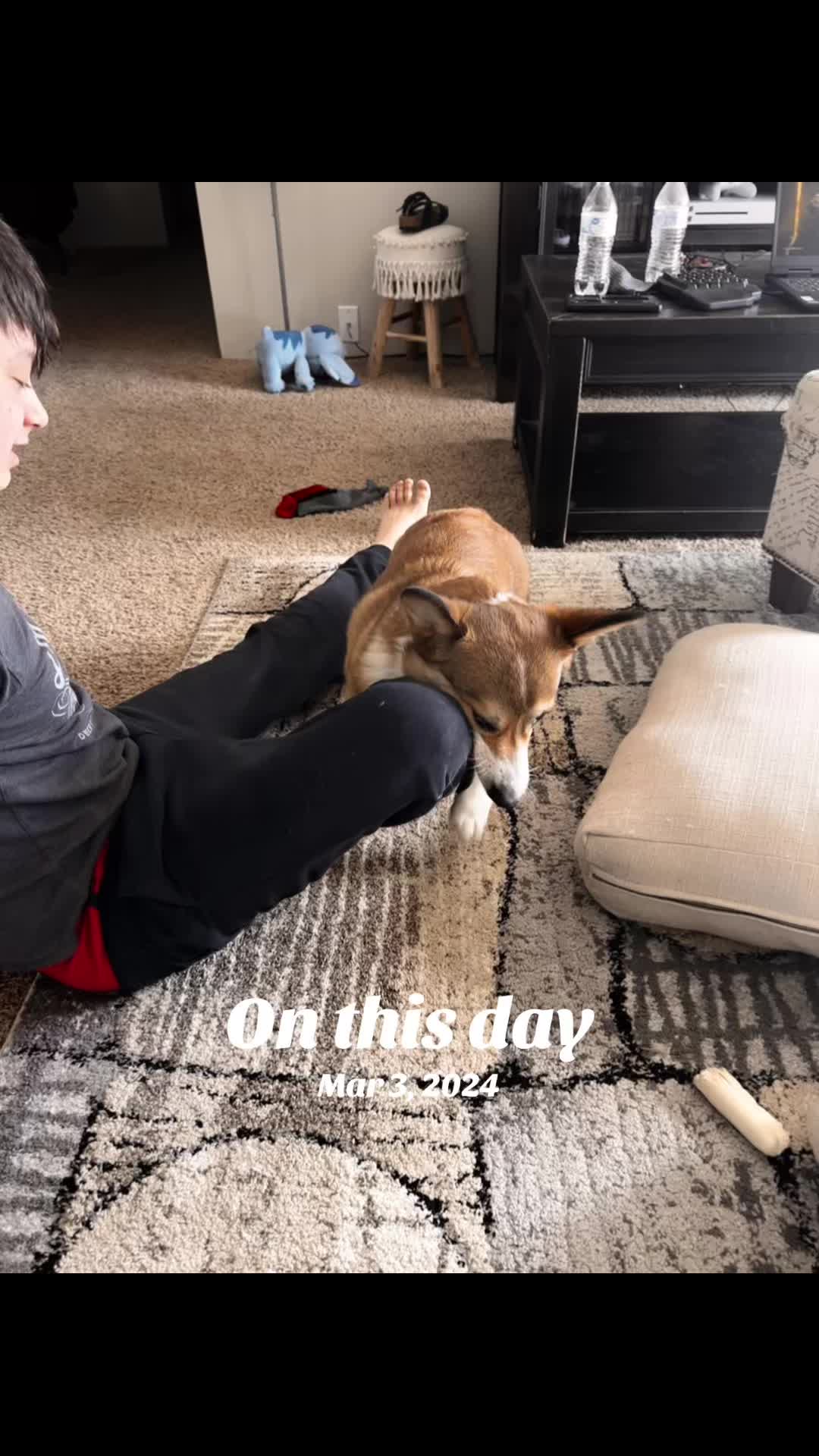@Thorgi_thecorgi