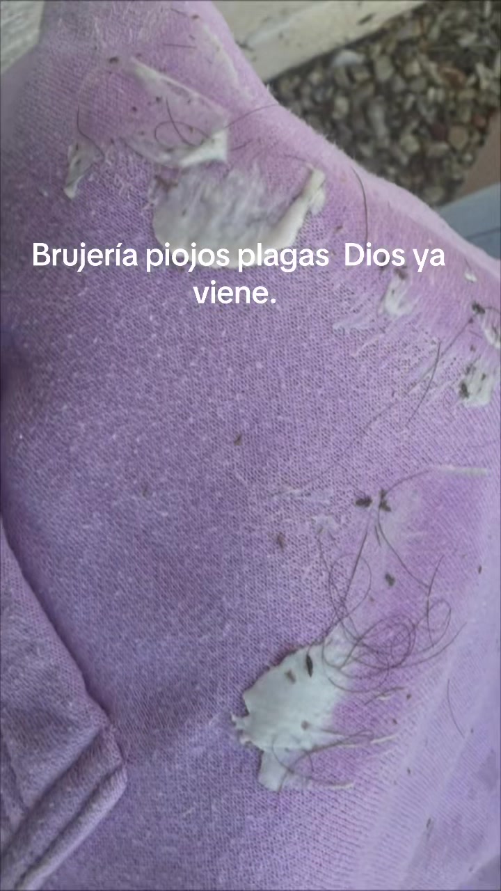 @soysonorense01