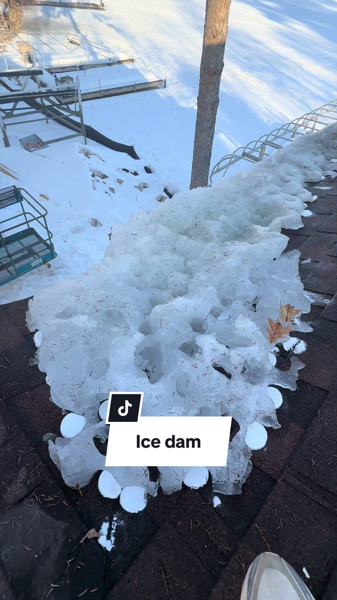 @Roofertiktok