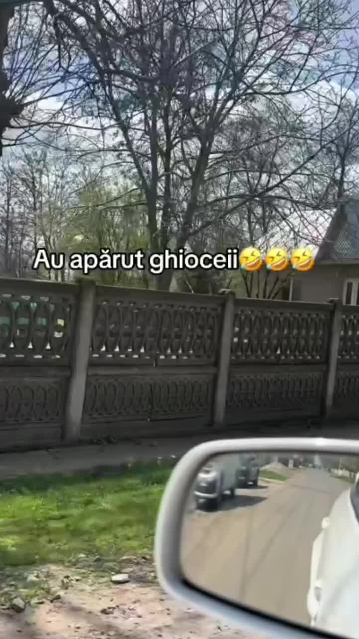 @🎭-IonuțTerrifier-🎭