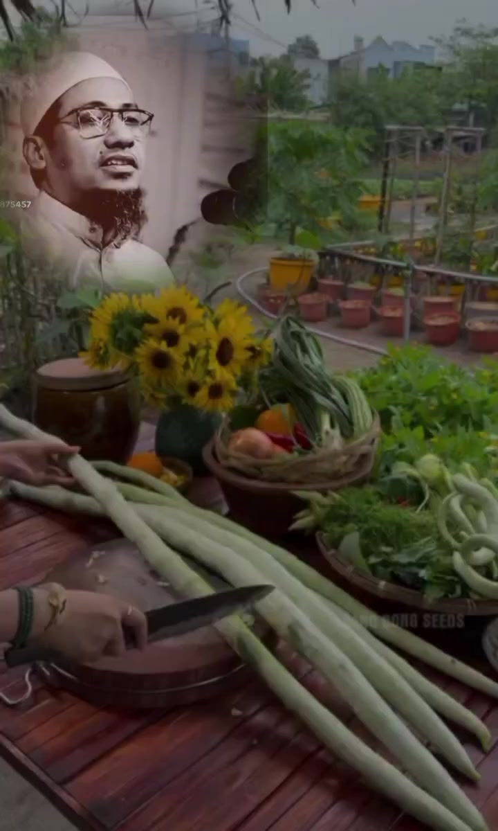 @চলো আল্লাহর পথে