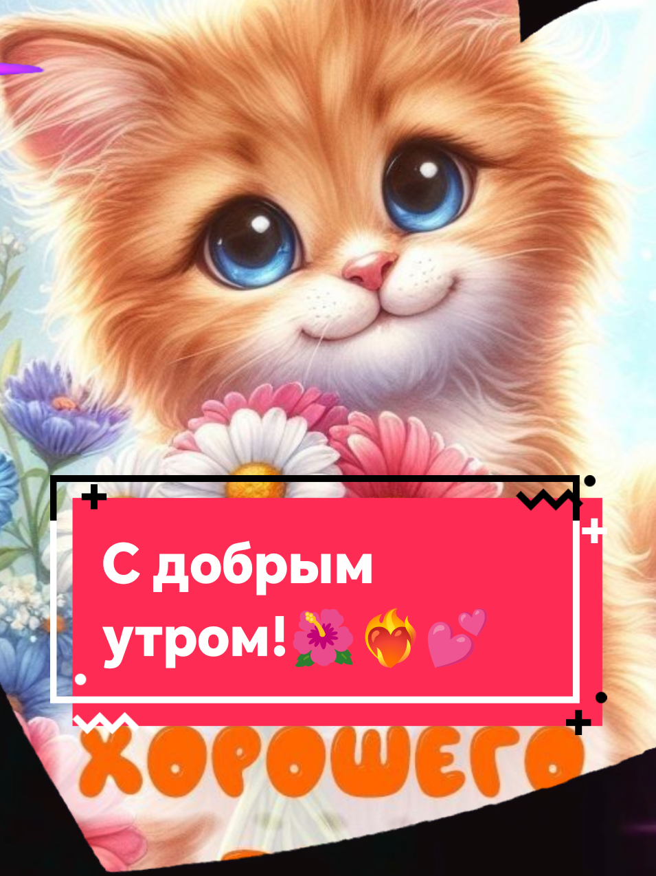 @nadezhdasvet1
