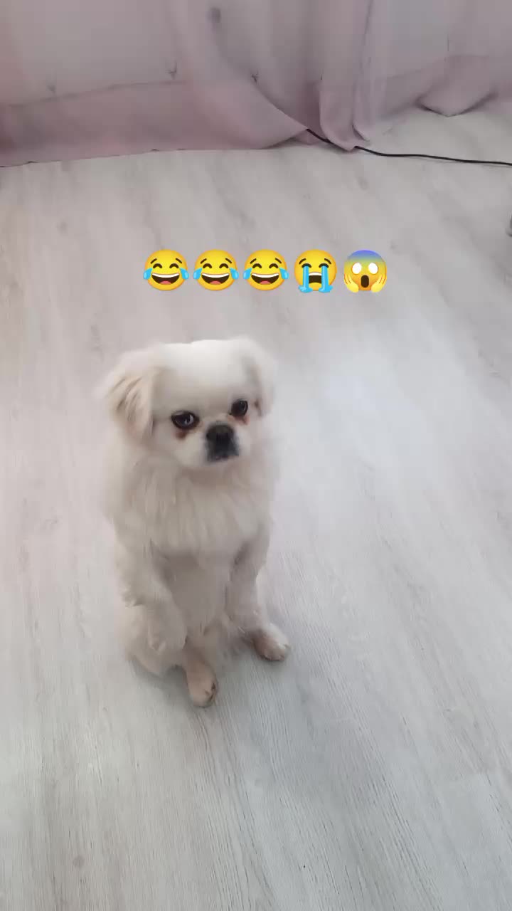 @Jacky_TikTok