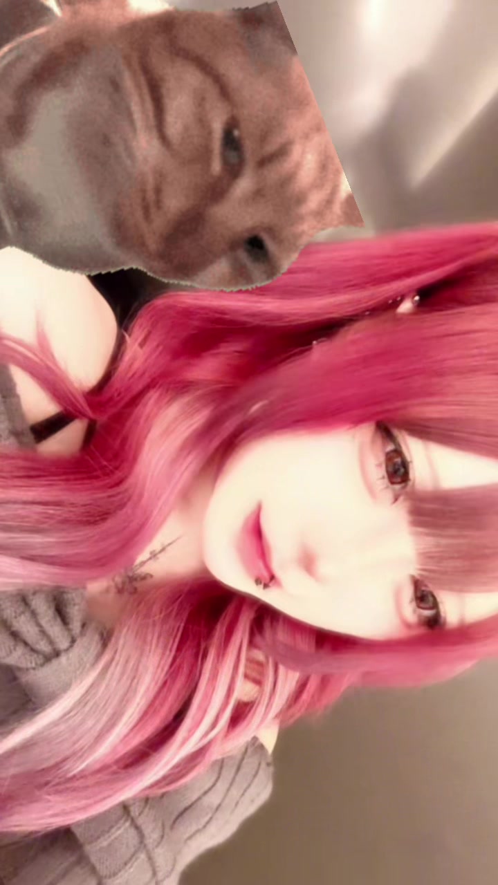 @ズガイドス