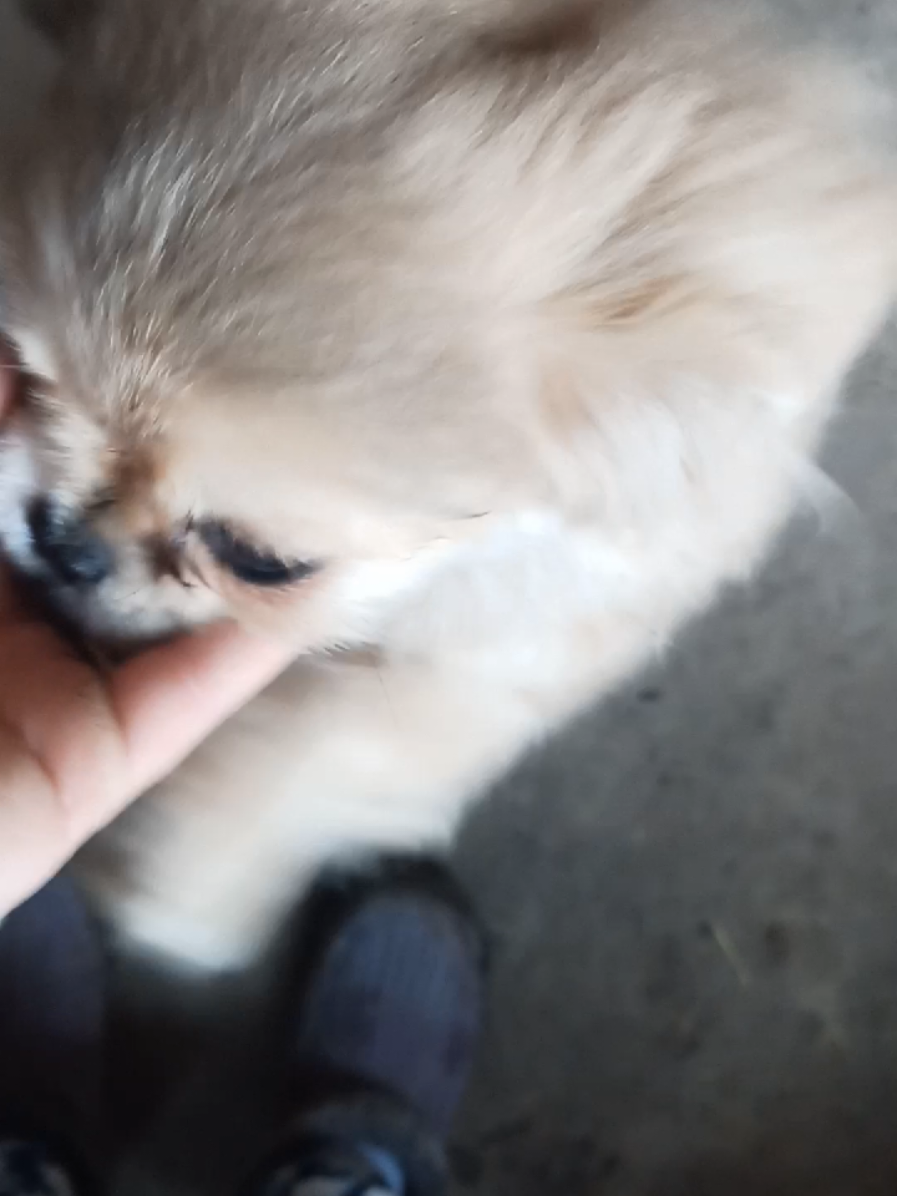 @Jacky_TikTok