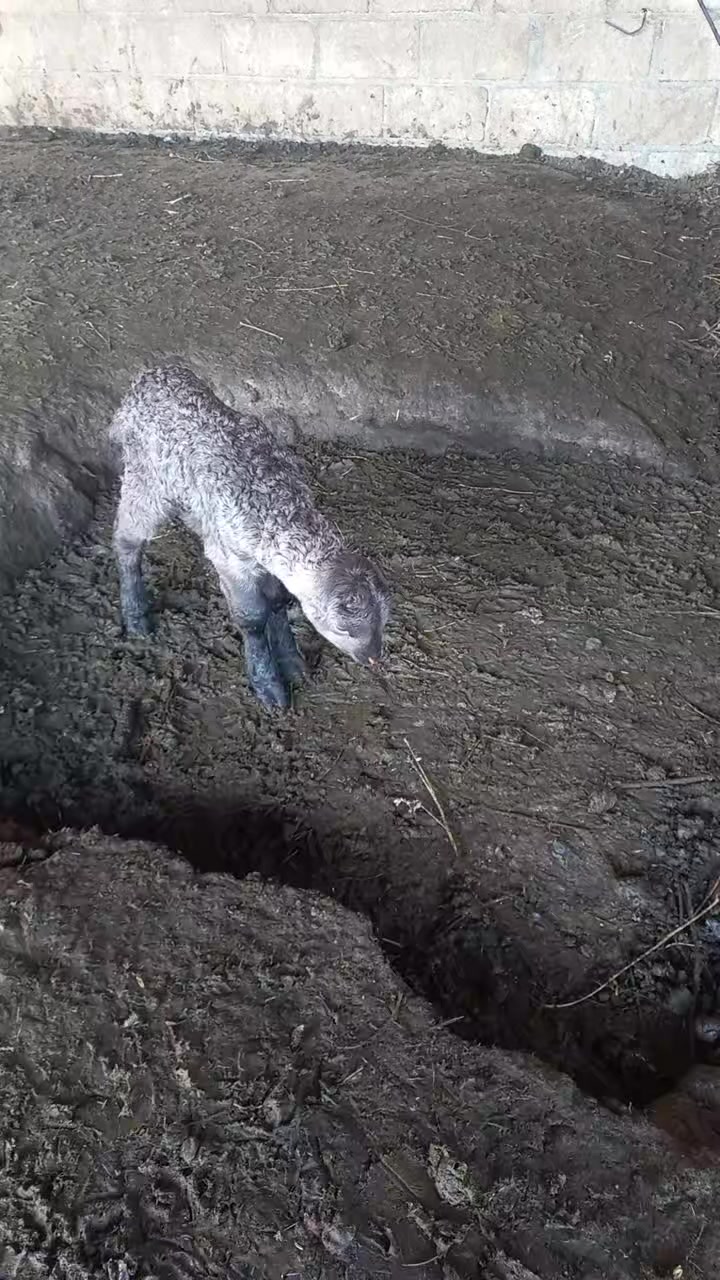 @&Ccedil;&ouml;l.adamı