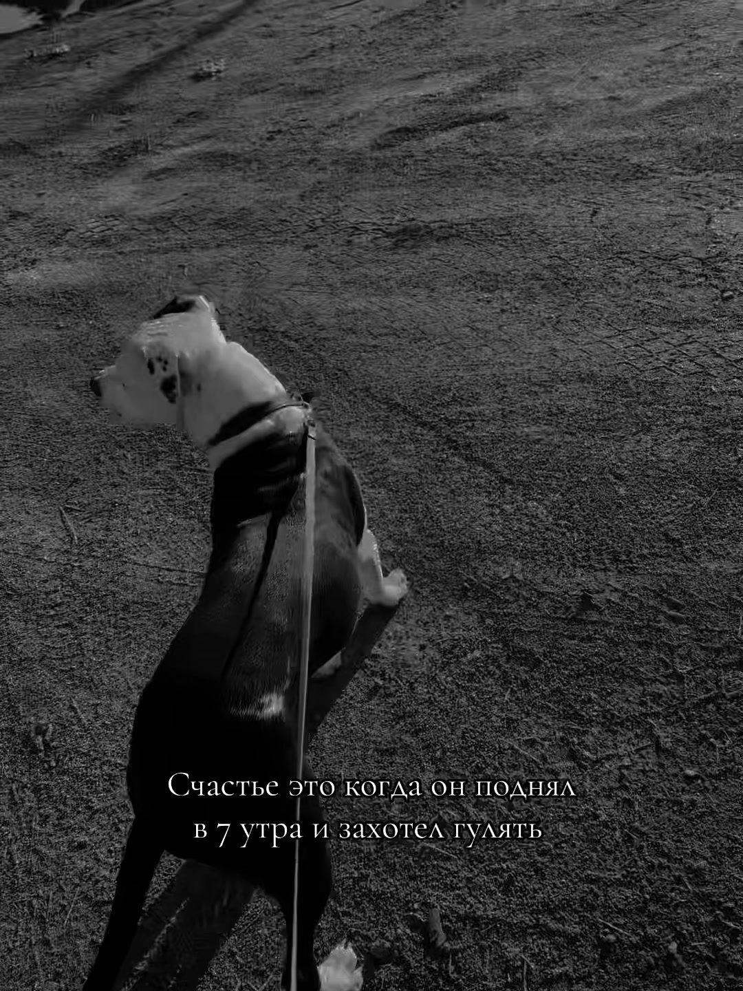 @🥀