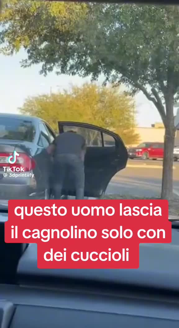 @Francesco Fotia