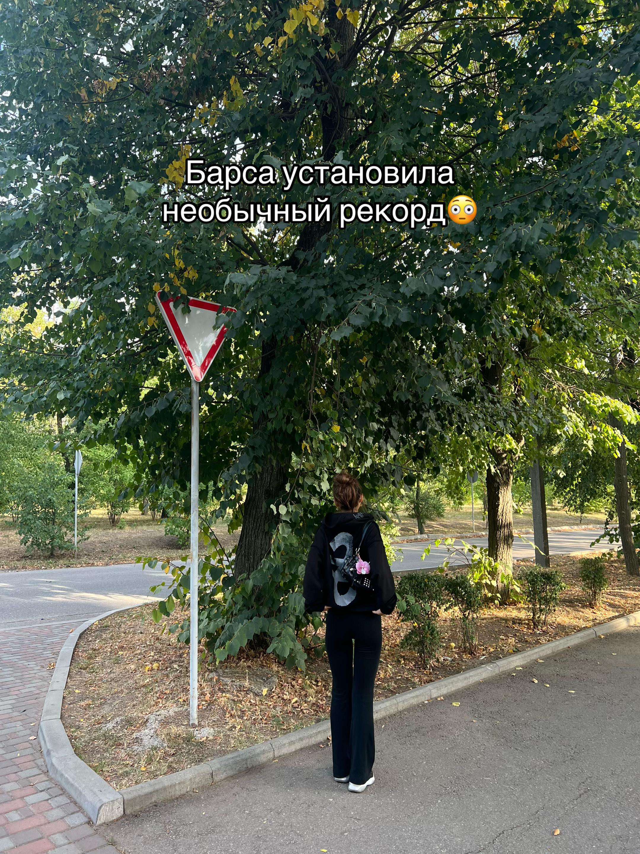 @тгк: джиемису