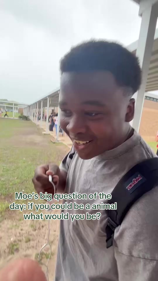 @moe vlogs