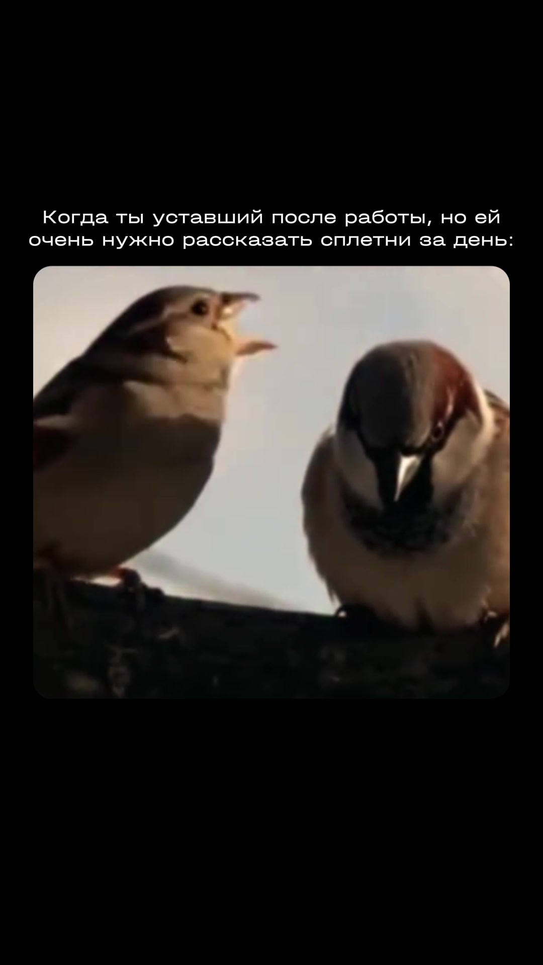 @NEMIGA
