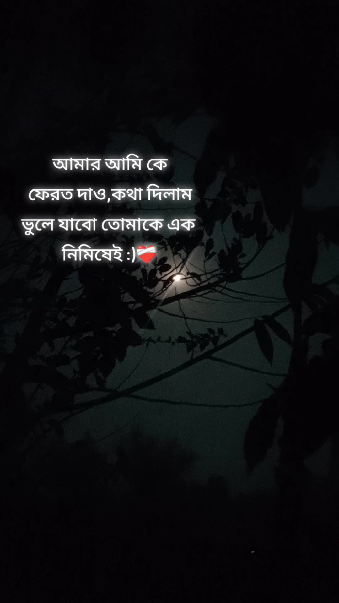 @☆𐙚.sayra'_tanha.!&iexcl;𐙚☆