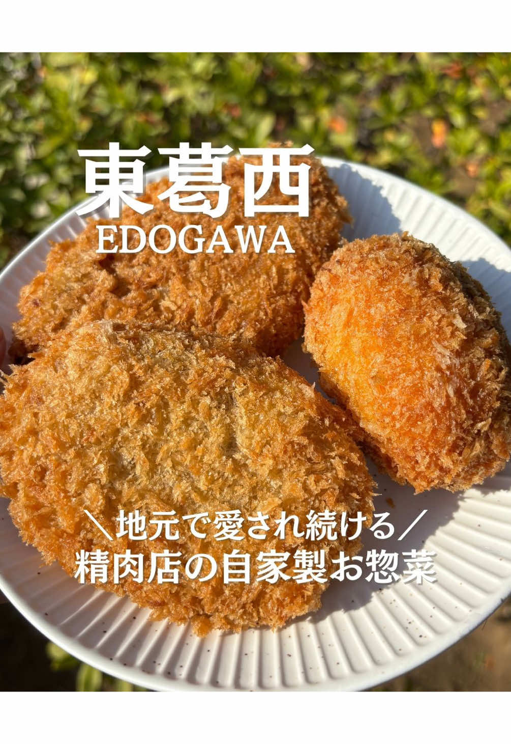 @ことり〻江戸川区 まちの魅力再発見