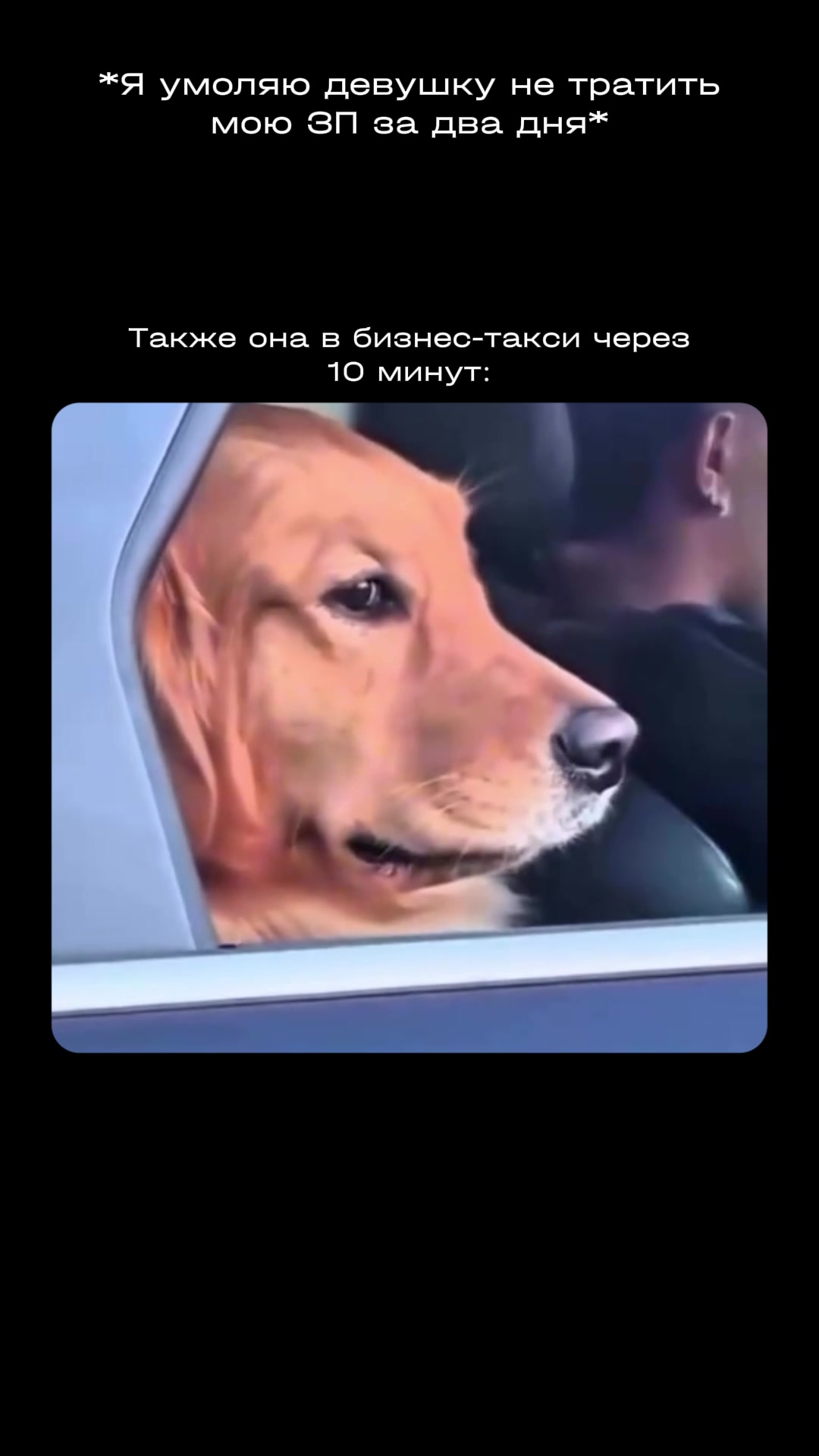 @NEMIGA
