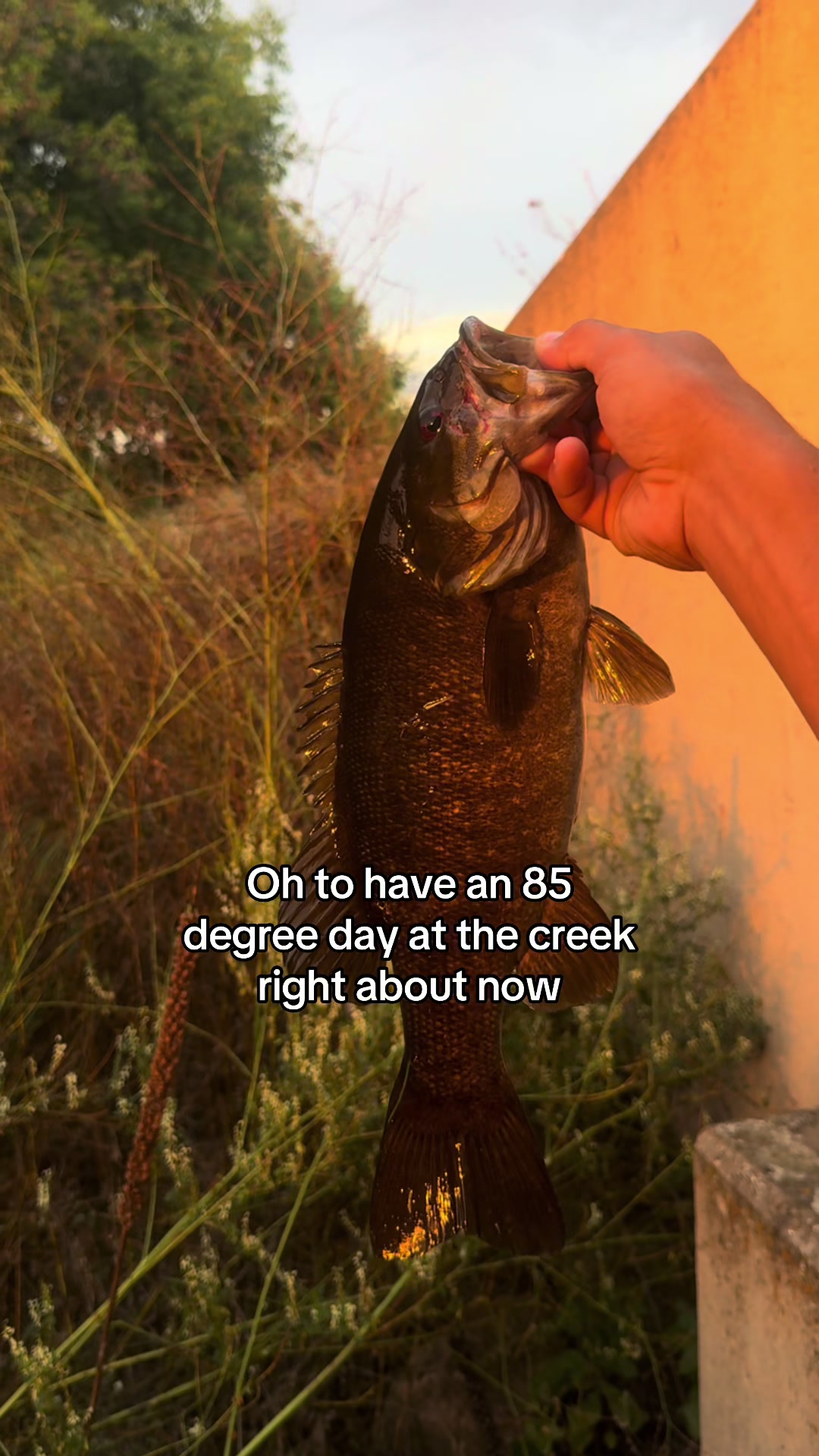 @218 fishing