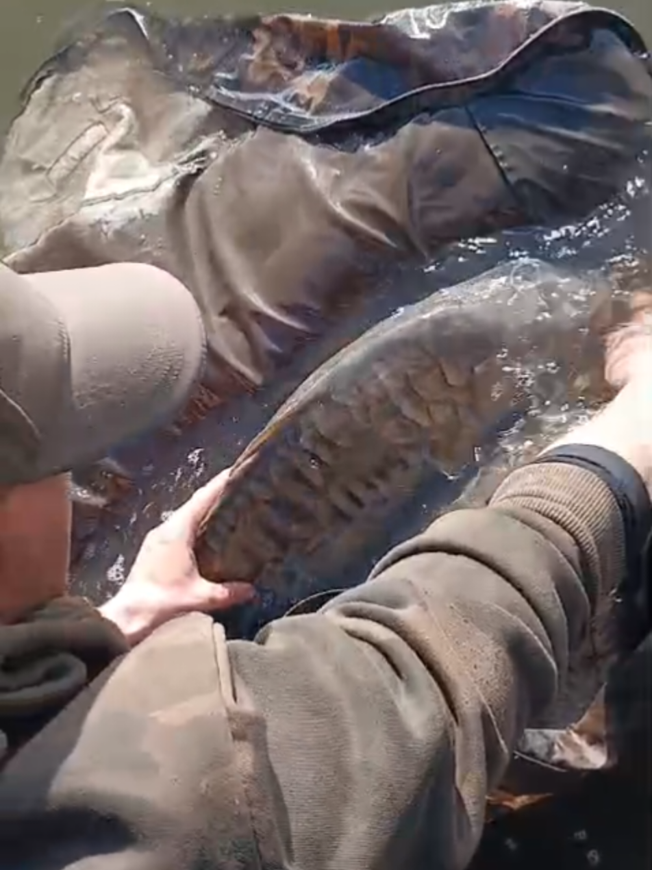 @stottys fishing official