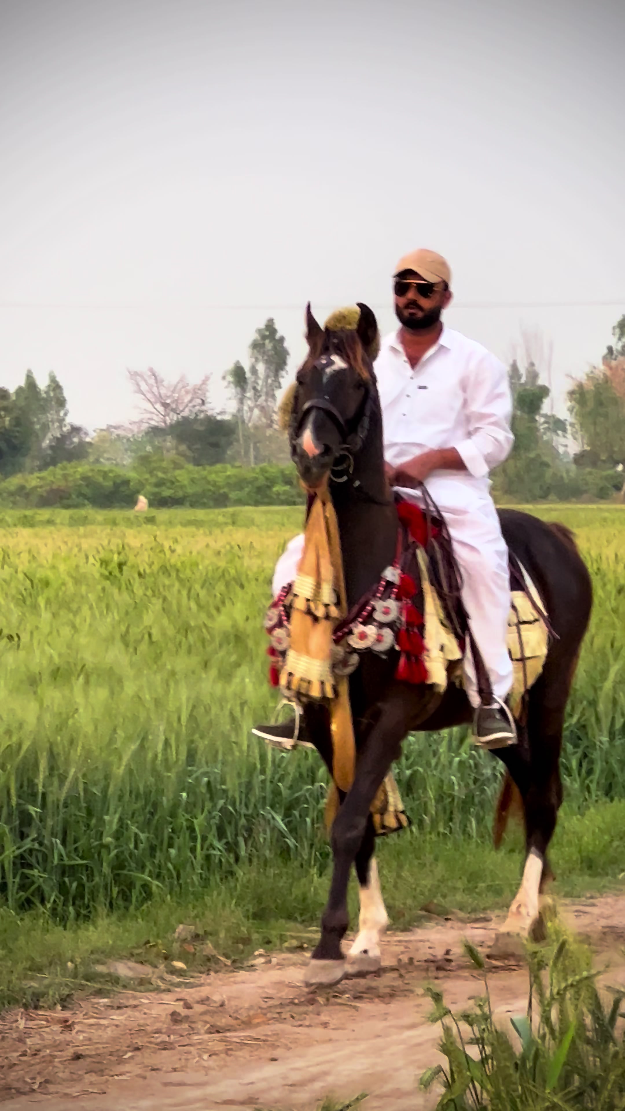 @Faisal Altaf Bosal