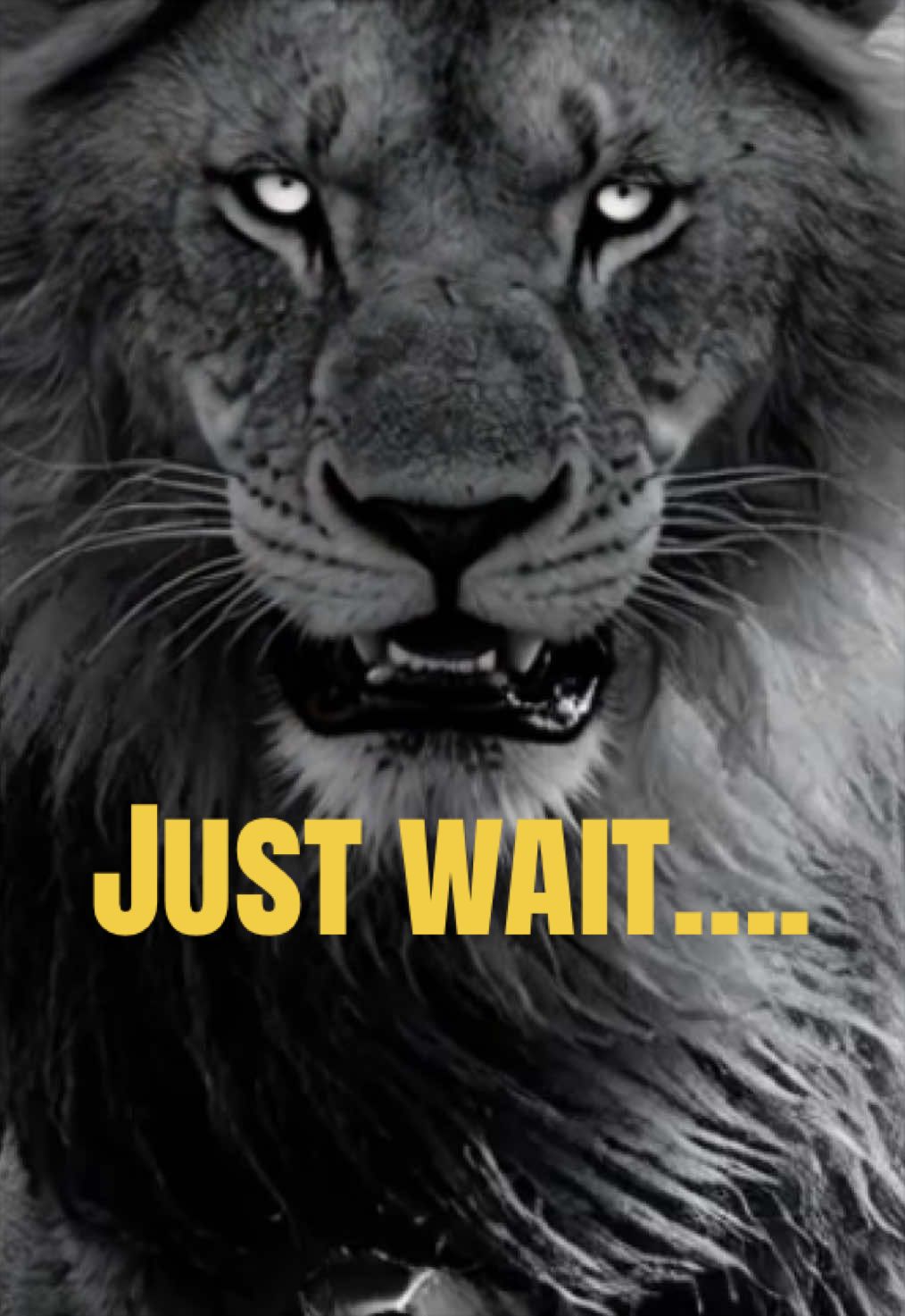 @Rise.and.dominate