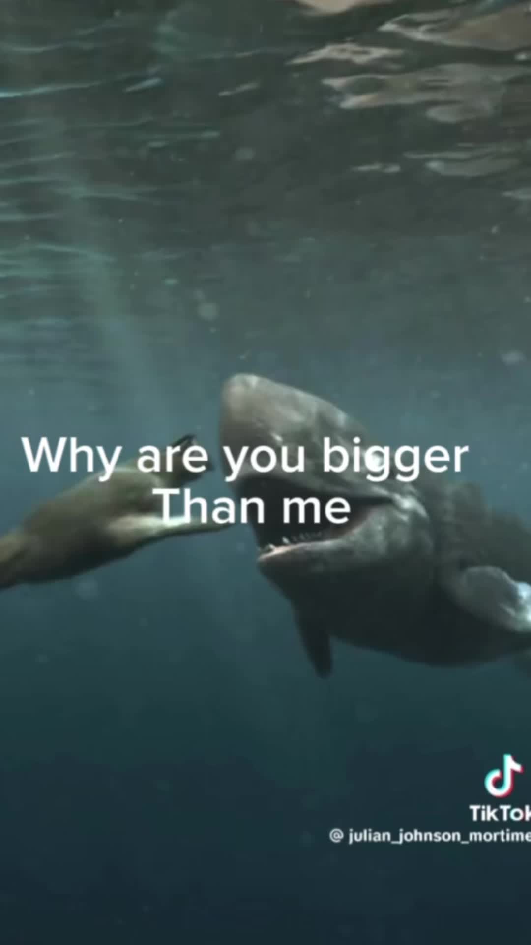 @Bloop🫍🫪🪎🧑&zwj;🩰🫈🫯🛘🪊