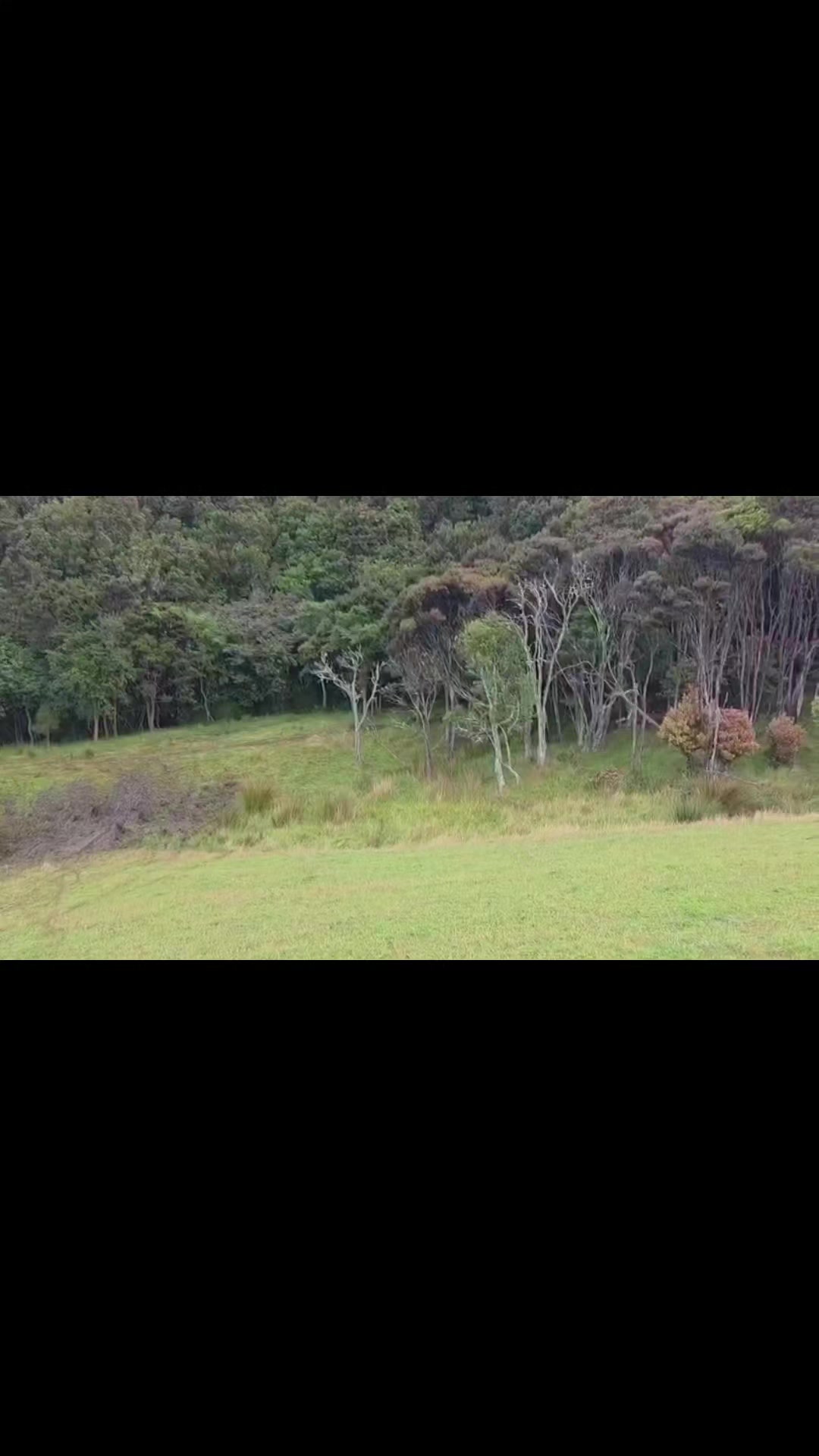 @Ryan_2️⃣4️⃣🗿