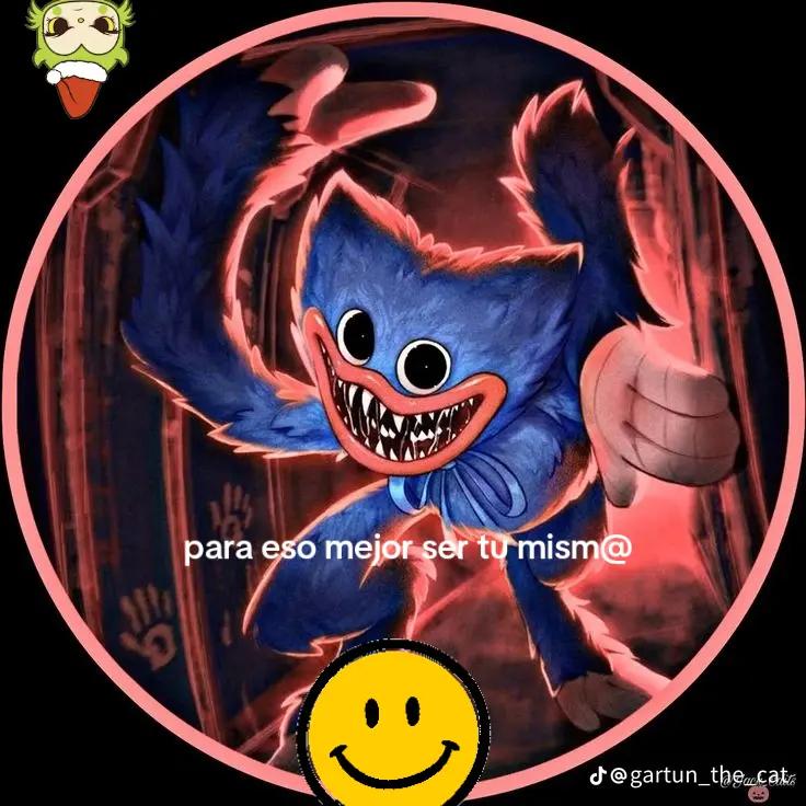@SONY CAT