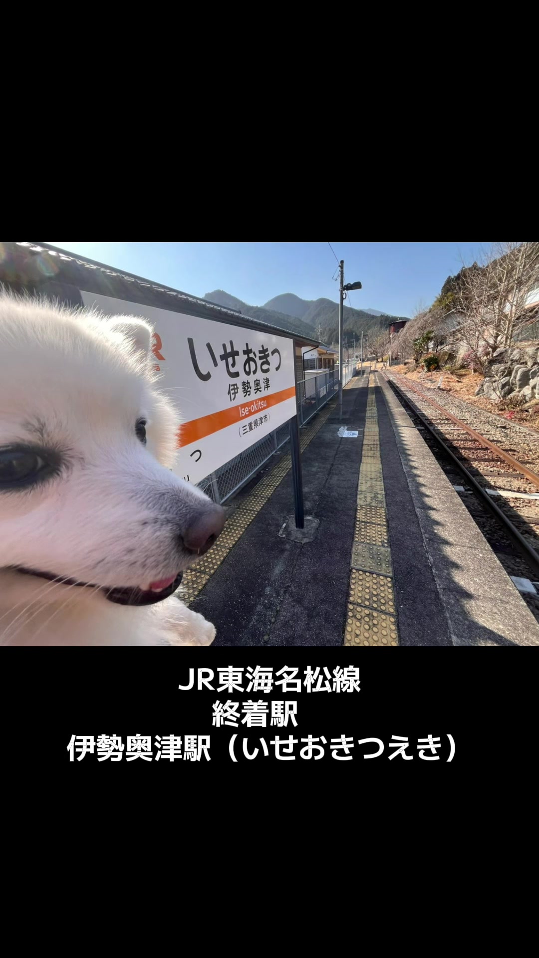 @てっつん〜伊勢おいないな日記〜