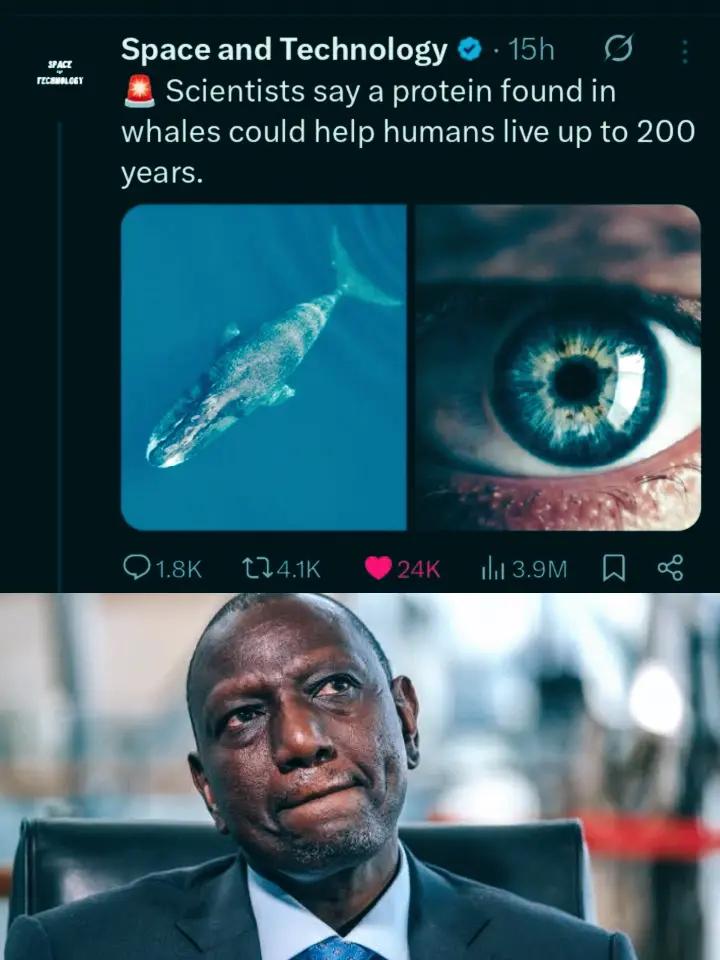 @Ruzeki