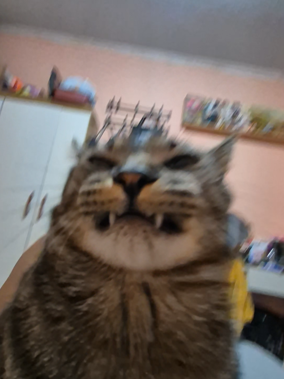 @Mushu