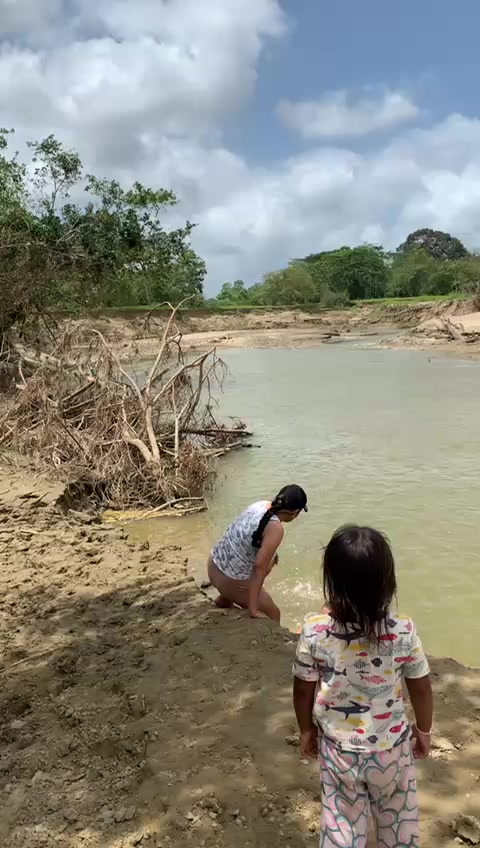 @kata arboleda