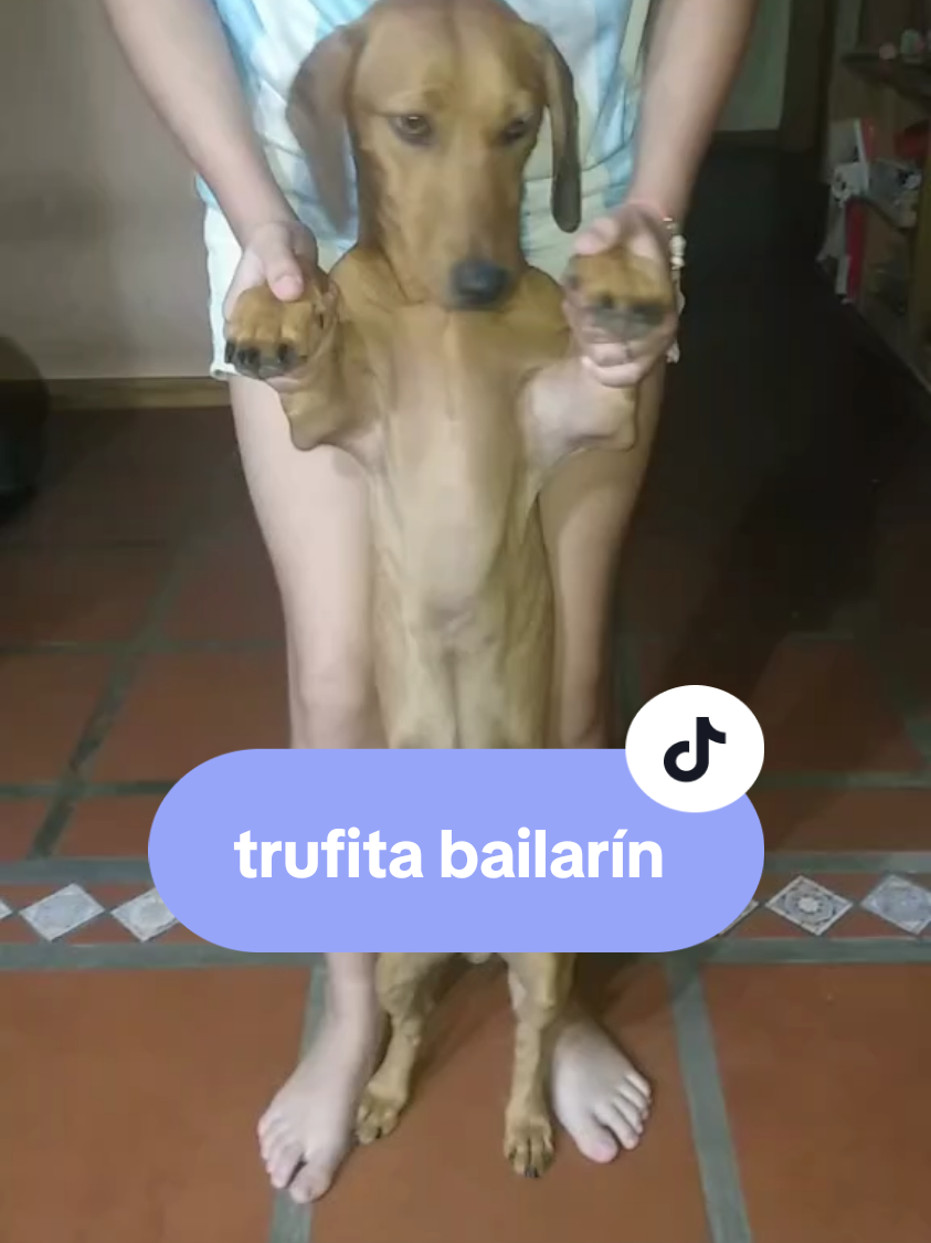 @Marce Batlle