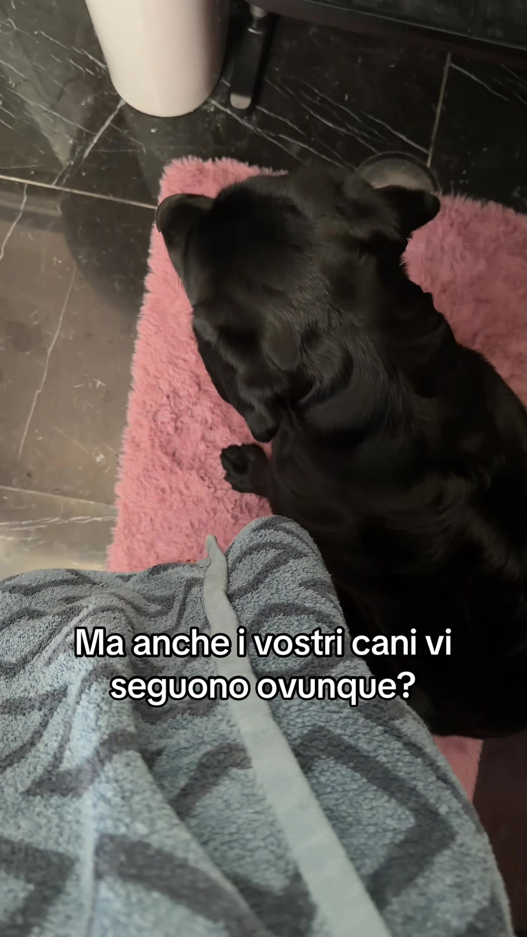 @Cloe e sabry🖤🐾