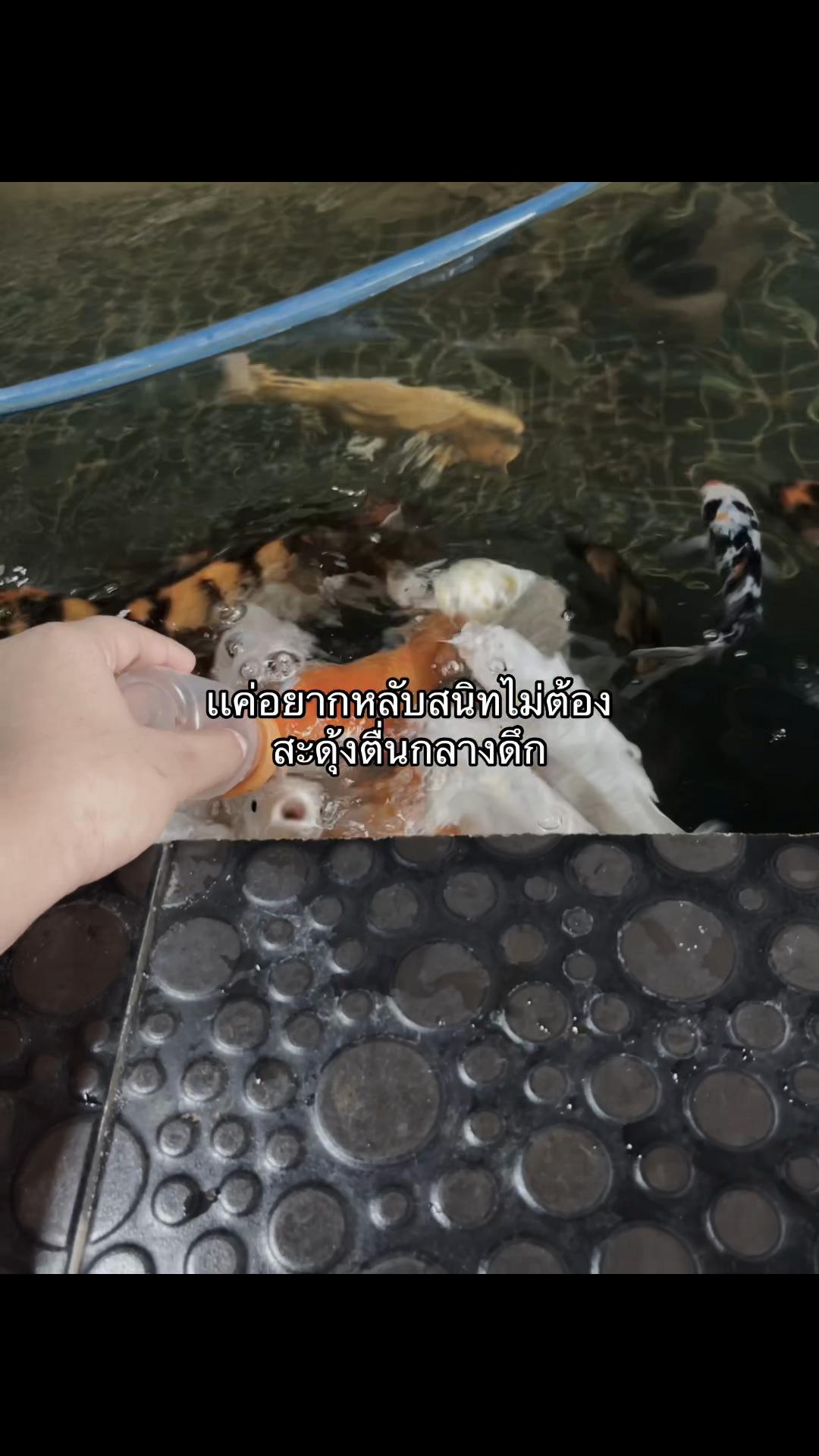 @เอ้มเอไอ