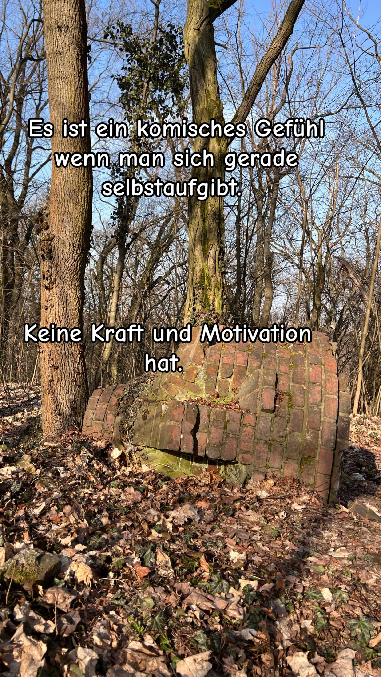 @Birkenwald74