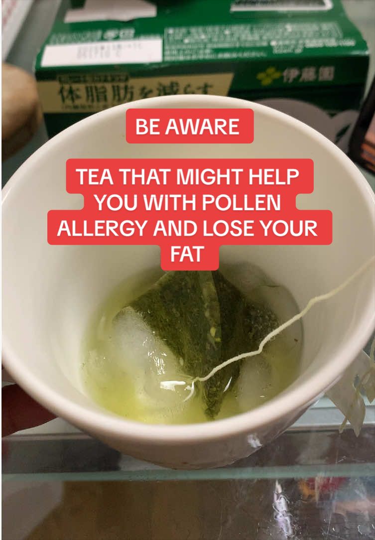 @Papa in Japan