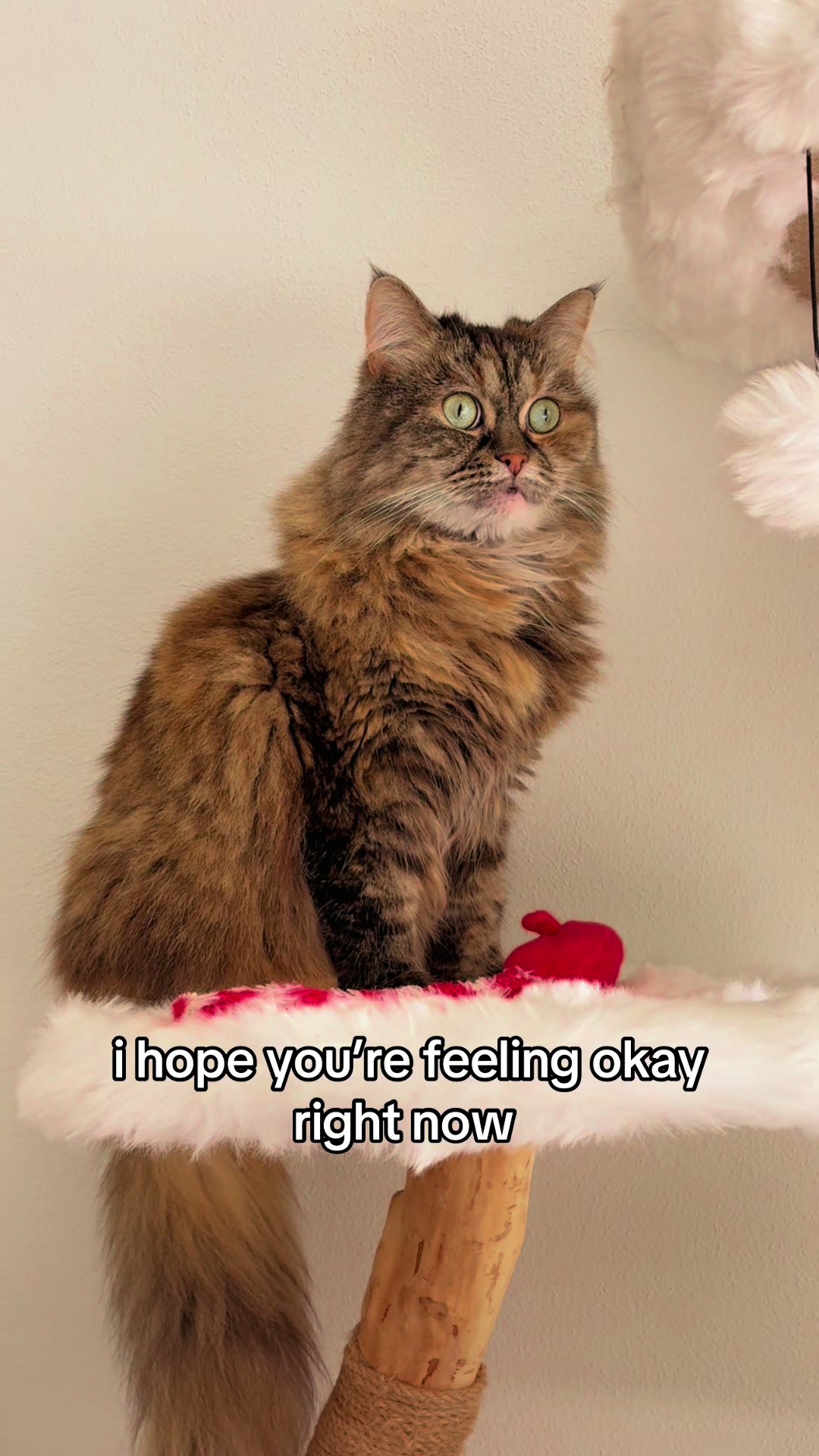 @.*✨..*✨*.