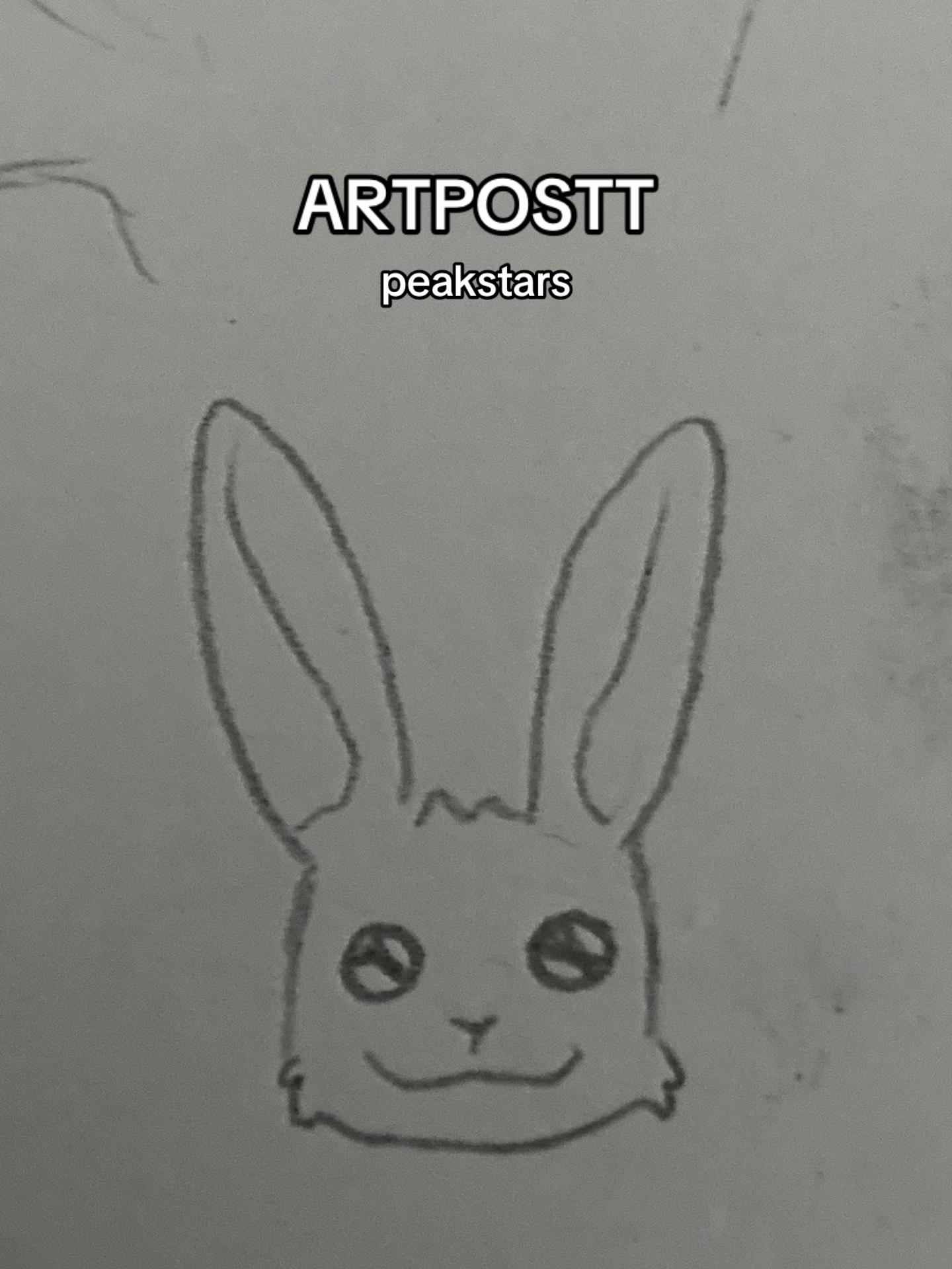 @Zuri_Loves🦊🐰🪲<3