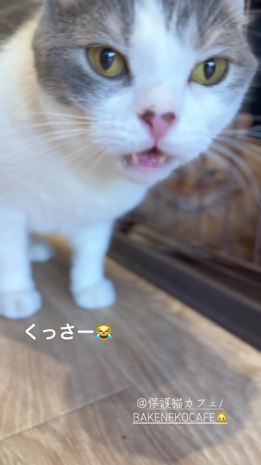 @ラブリーデイ
