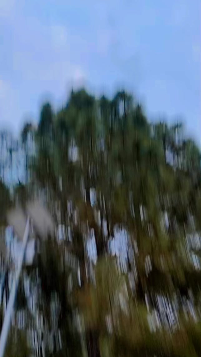 @Ru🐝 Adhikari
