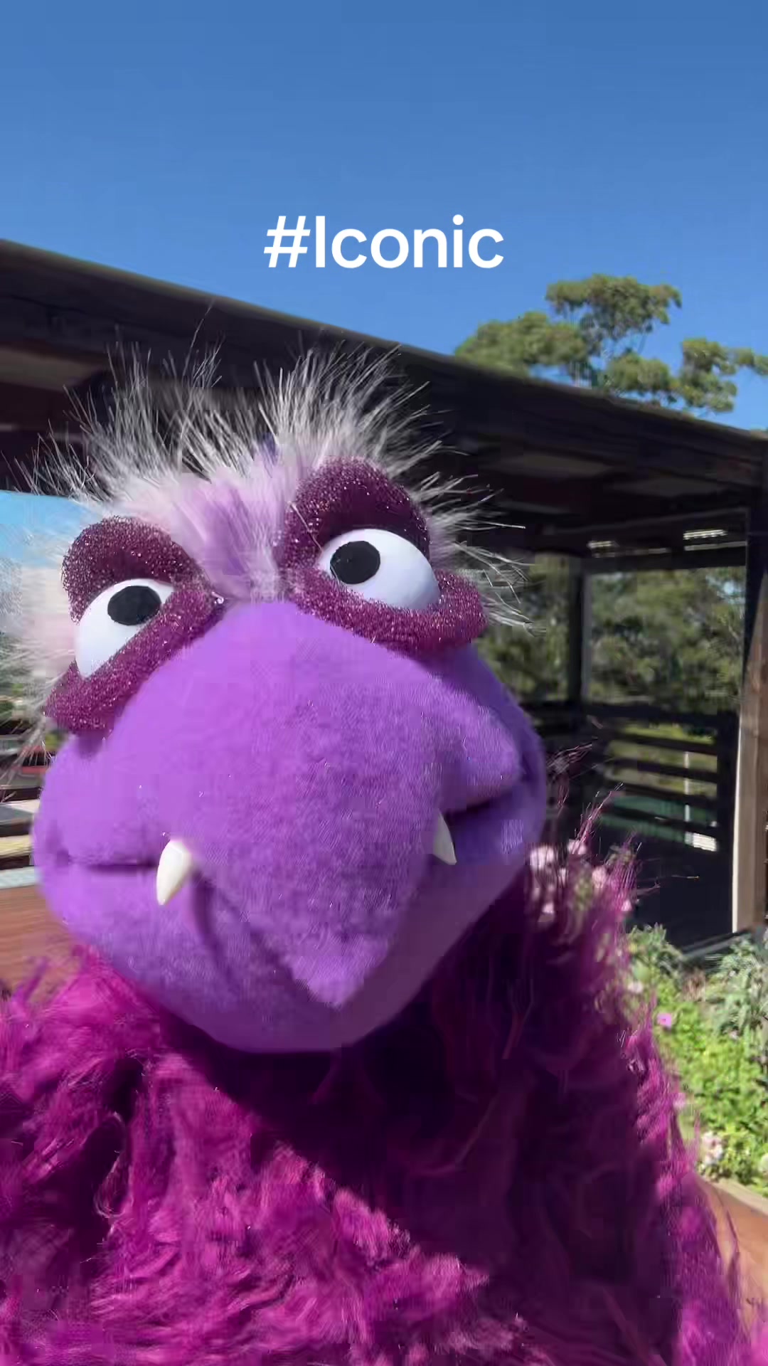 @thedooglespuppets