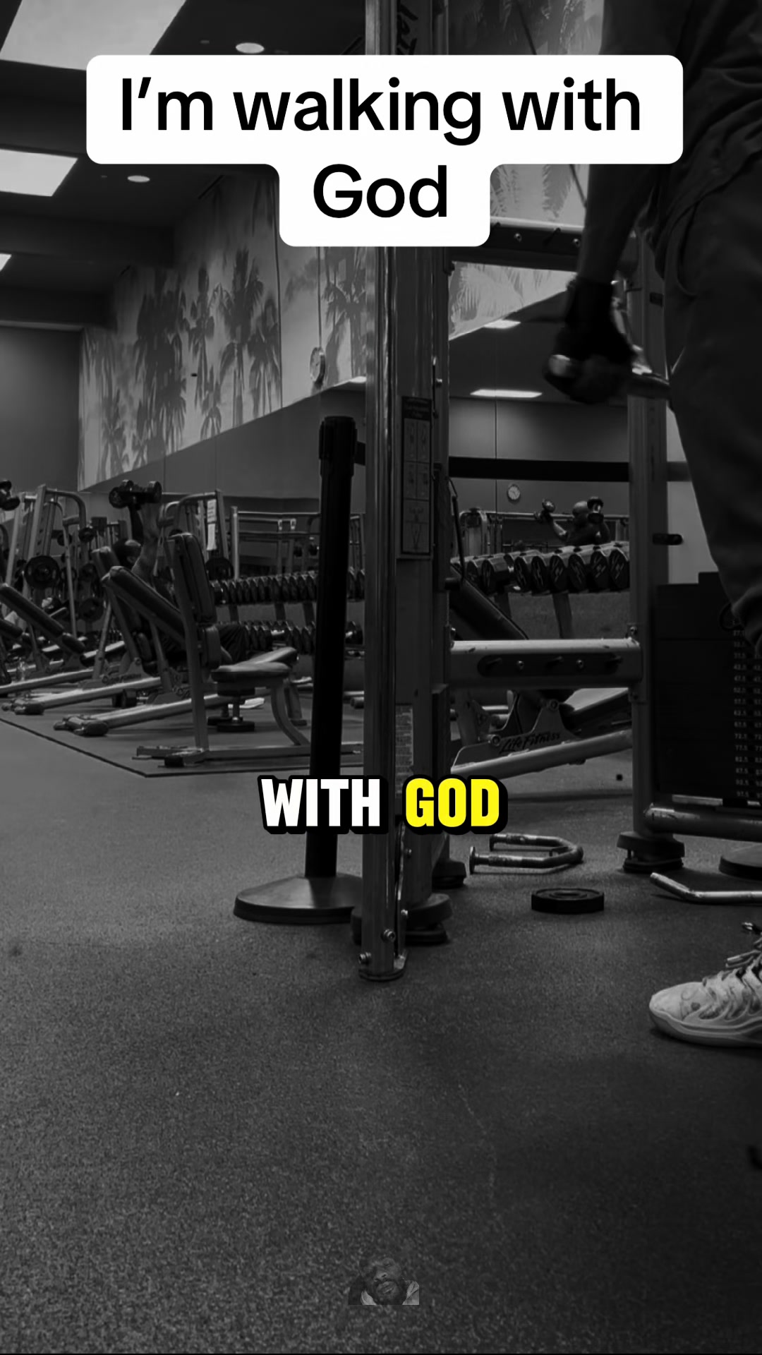 @dawgdaytraining