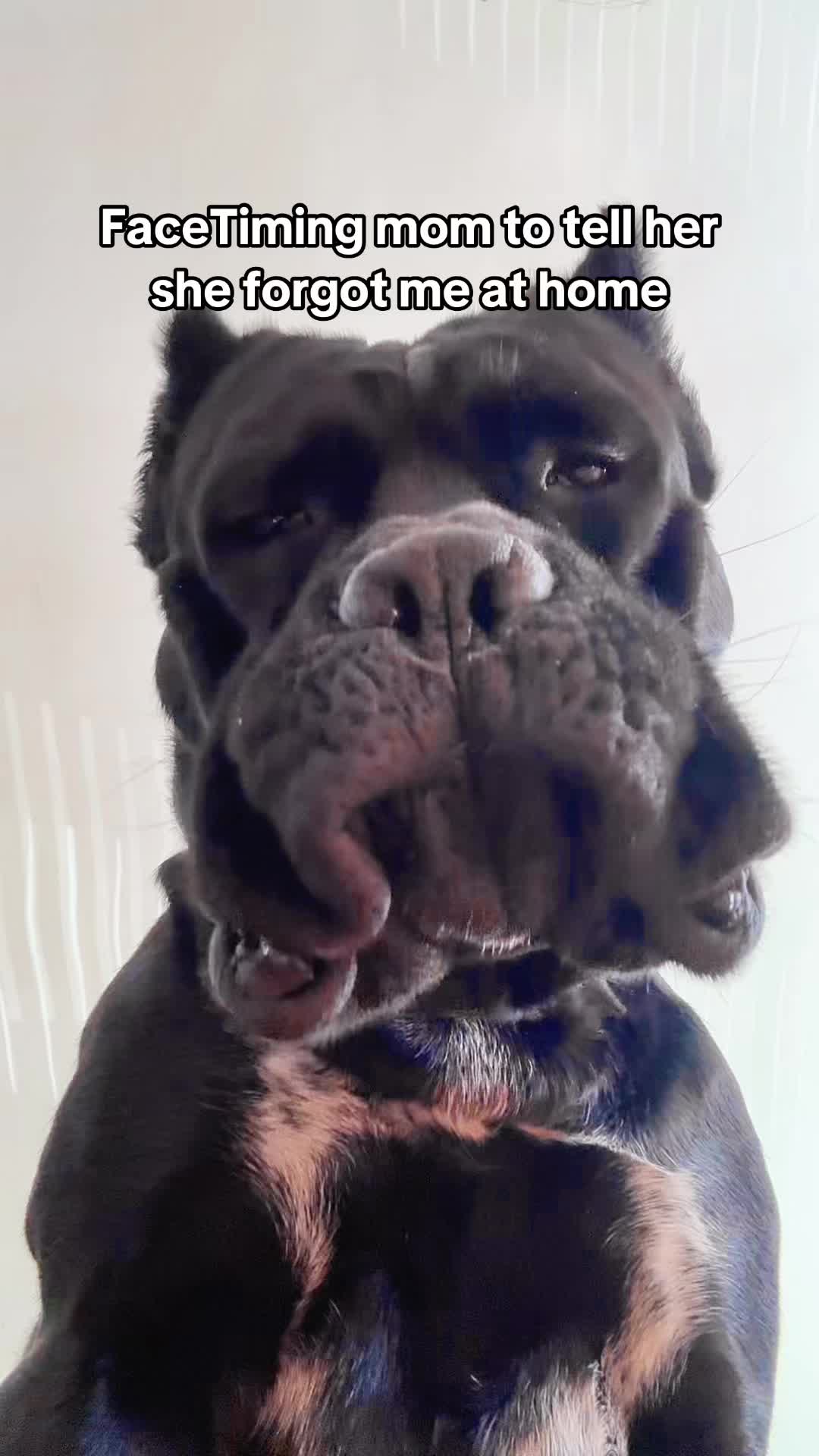 @Bentley Has Issues