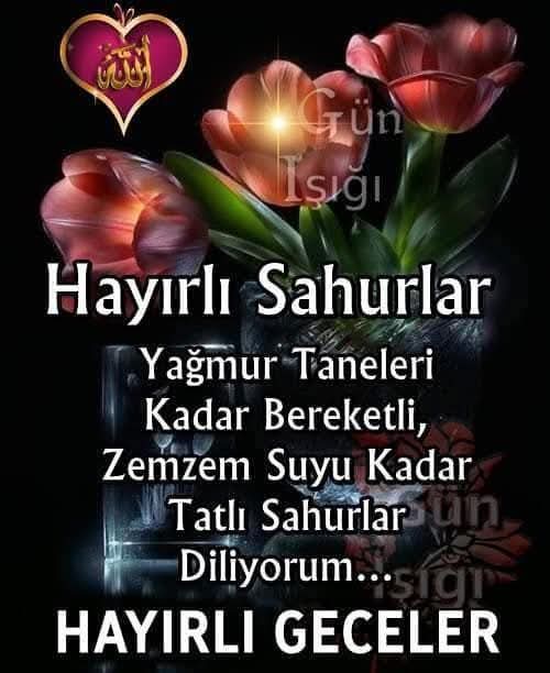 @81 D&uuml;zce