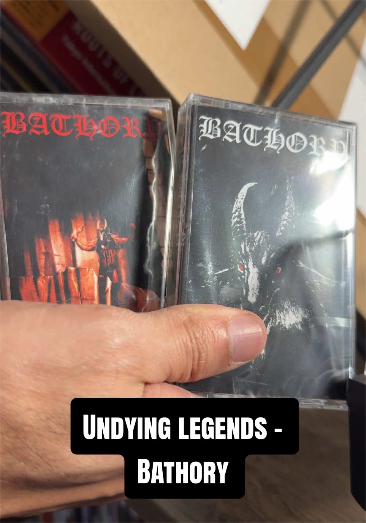 @Undying Vinyl